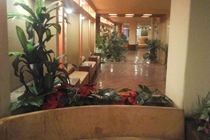 Atlas Zamalek Hotel Giza Zewnętrze zdjęcie